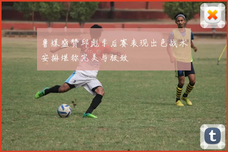 鲁媒盛赞邱彪季后赛表现出色战术安排堪称完美与极致