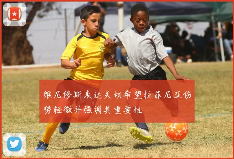 维尼修斯表达关切希望拉菲尼亚伤势轻微并强调其重要性