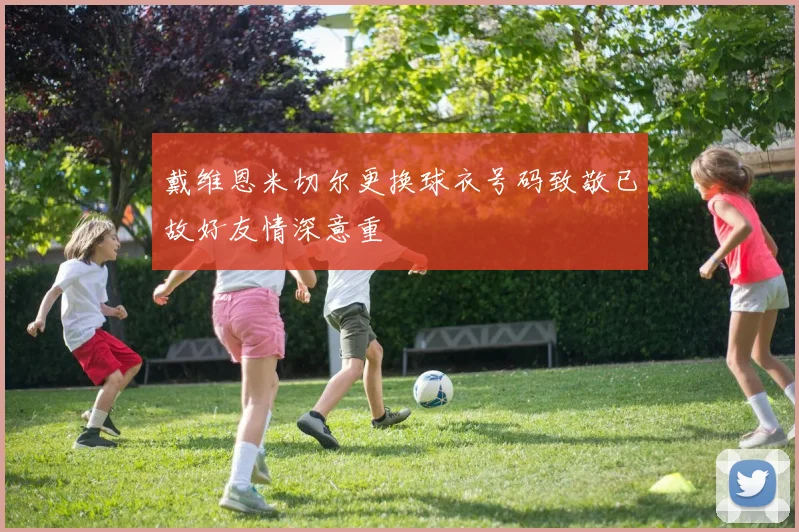 戴维恩米切尔更换球衣号码致敬已故好友情深意重